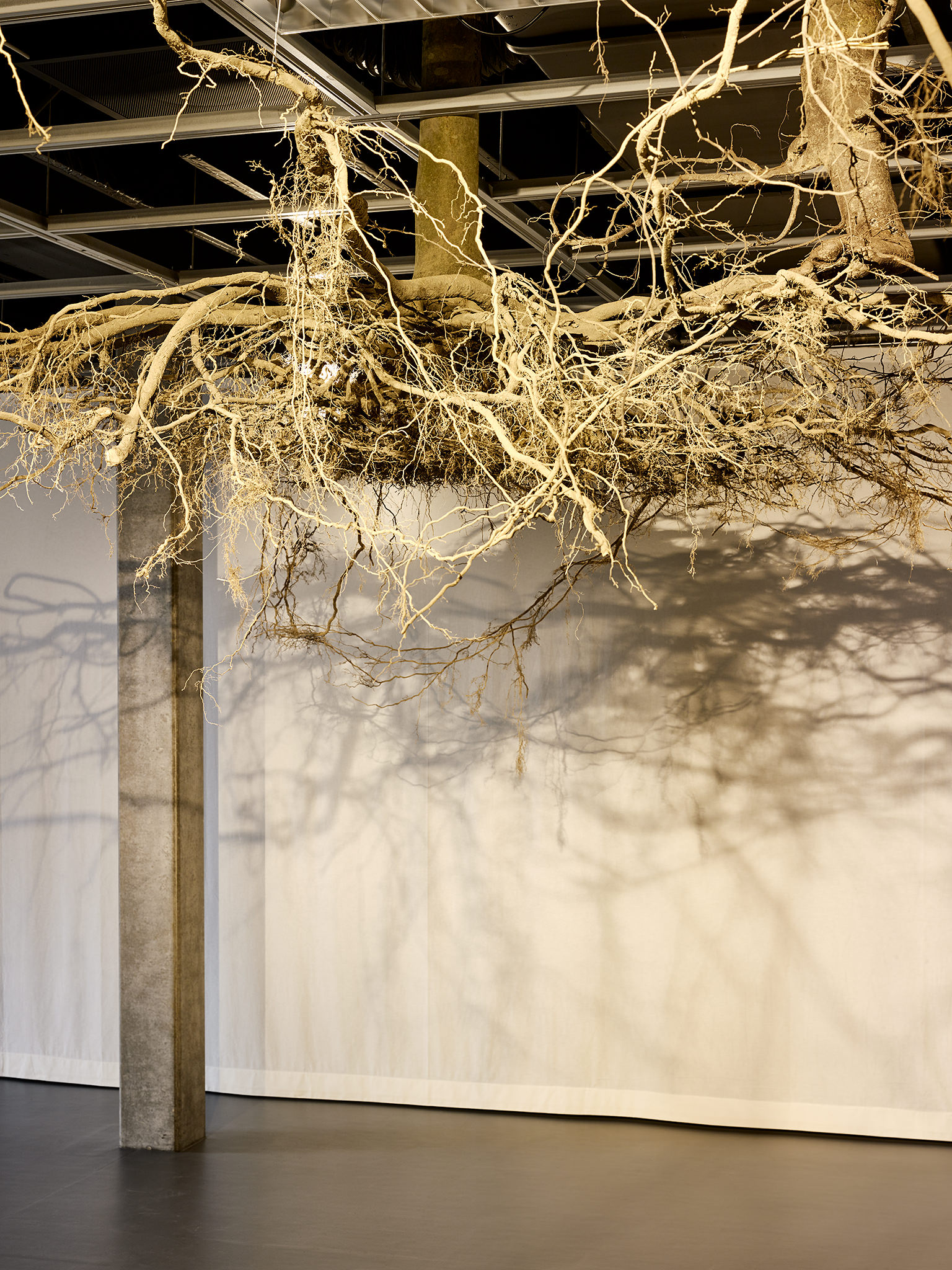 LIVE MATTER - Design Vegetal